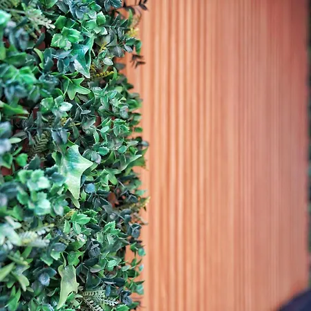 Brisas Al Mar * Candelaria