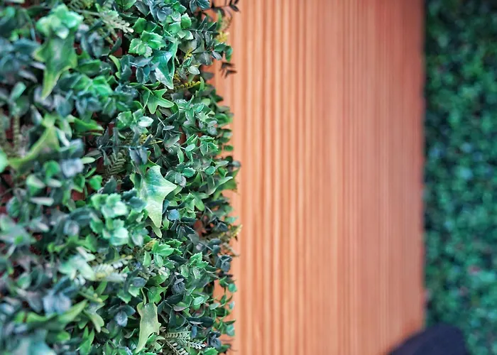 Brisas Al Mar * 칸델라리아